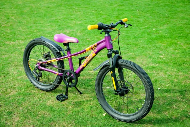Cycle